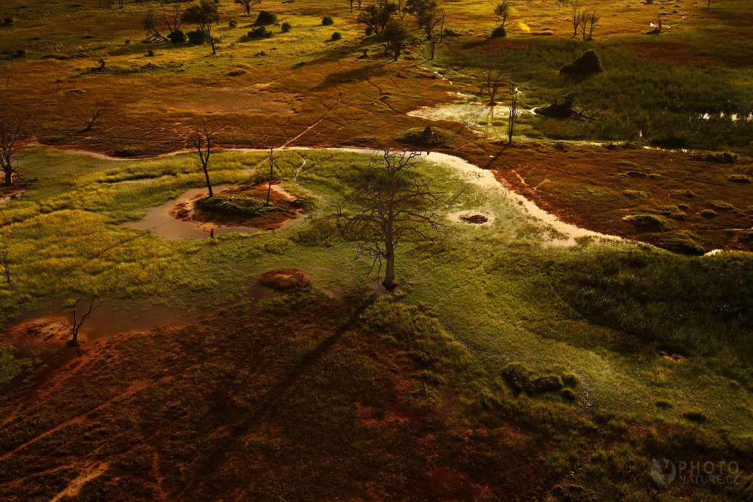 The Okavango Delta 