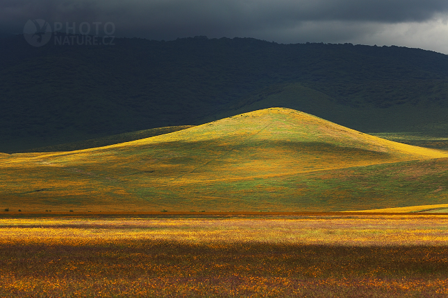 The stunning landscape of Ngorongoro Crater