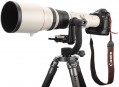 Canon EF 800mm f/5.6 L IS USM v praxi
