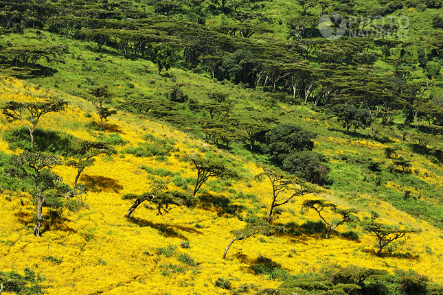 Krajina v kráteru Ngorongoro