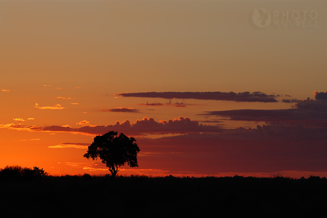 Západ slunce v Africe, Okawango